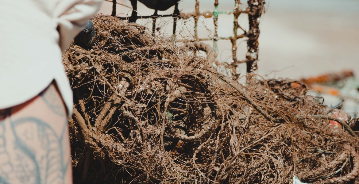 Sea Shepherd Nazare Cleaning