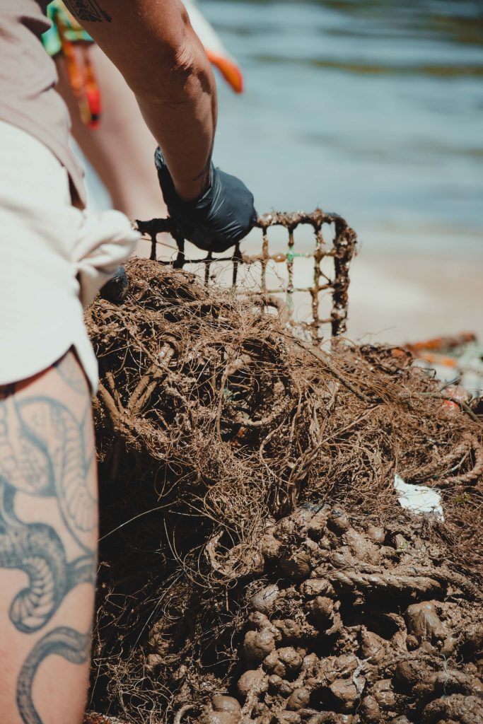 Sea Shepherd Nazare Cleaning