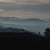 layers_missroofless