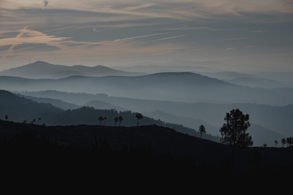 layers_missroofless