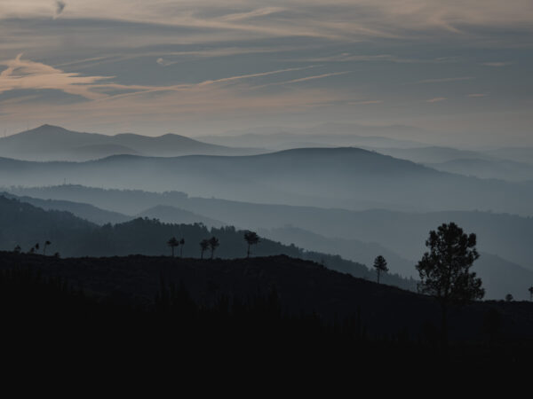 layers_missroofless