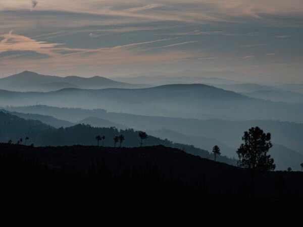 layers_missroofless