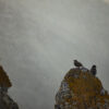 silent morning_missroofless