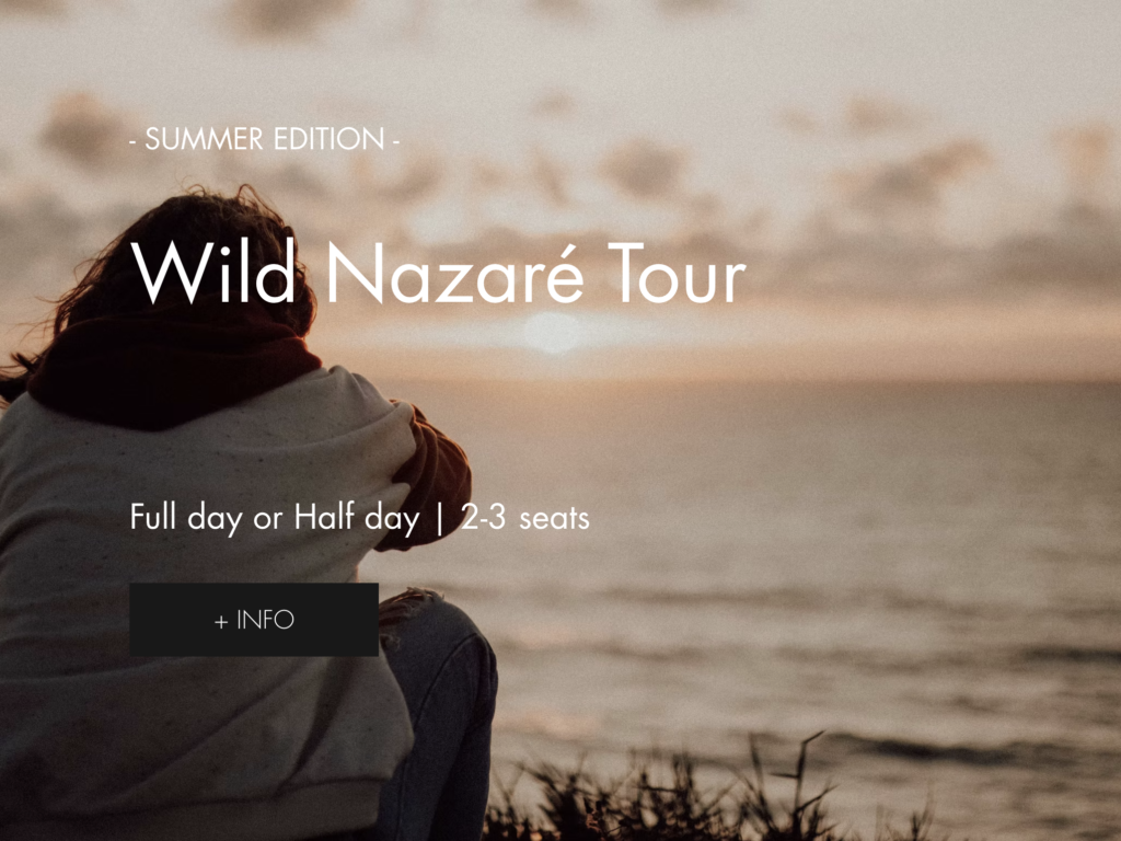 Wild Nazare Tour