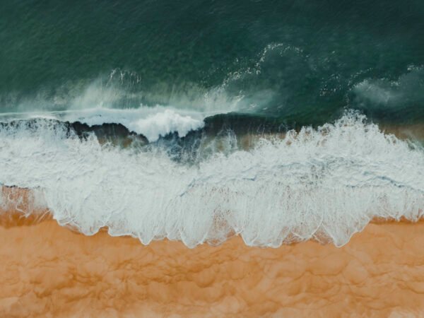 shore wave_missroofless