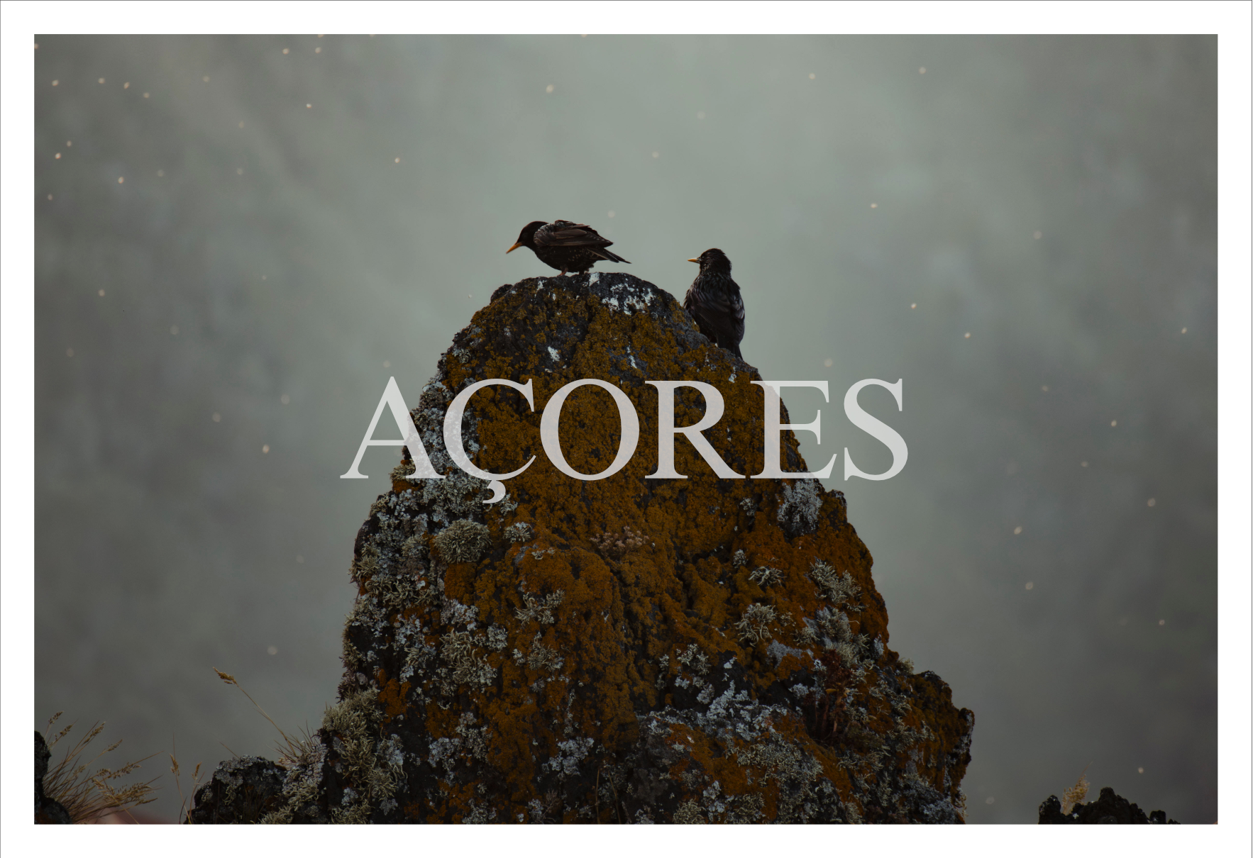 10postcards_portugal_missroofless