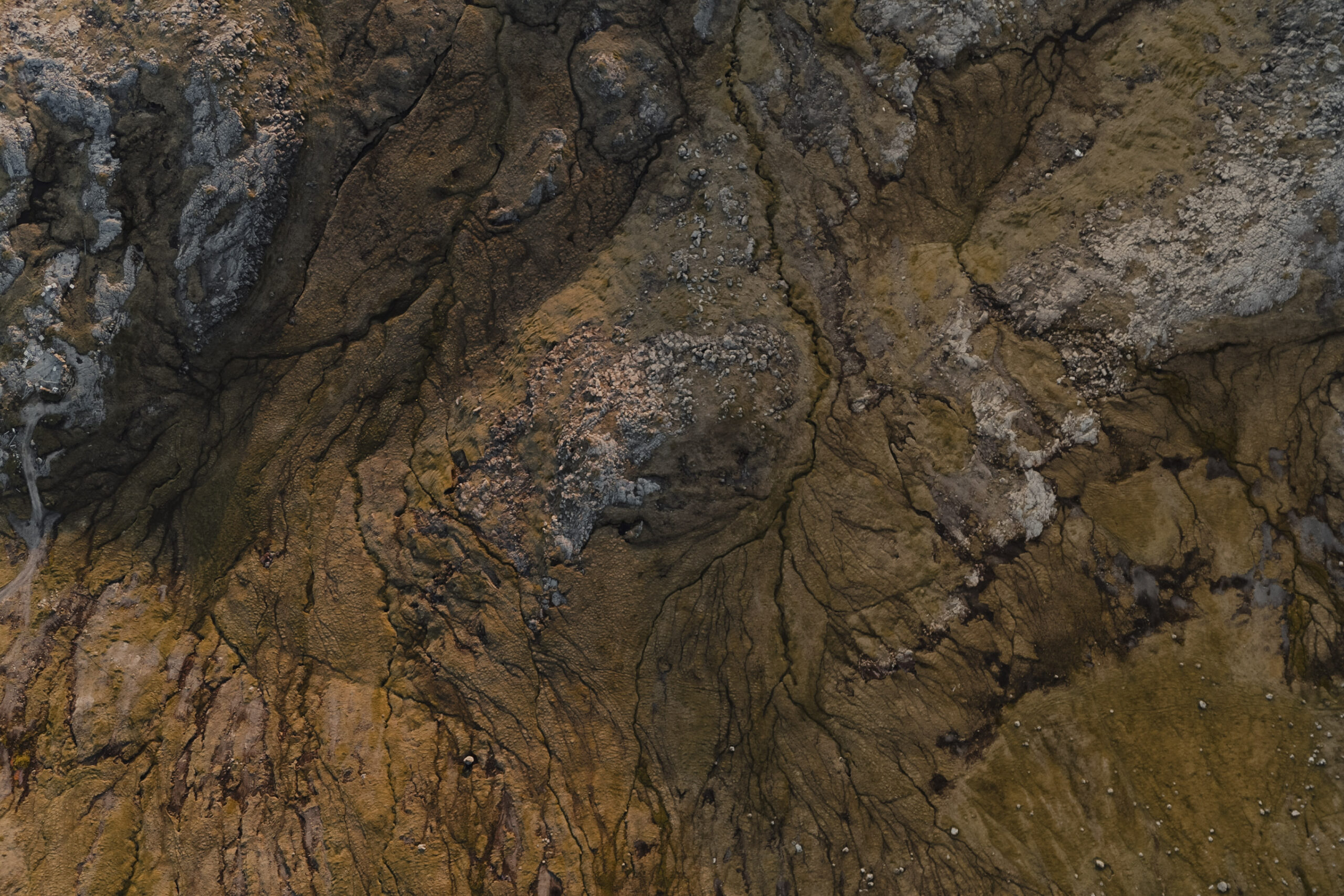 6postcard_faroe_missroofless