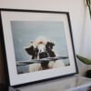3portrait print_missroofless