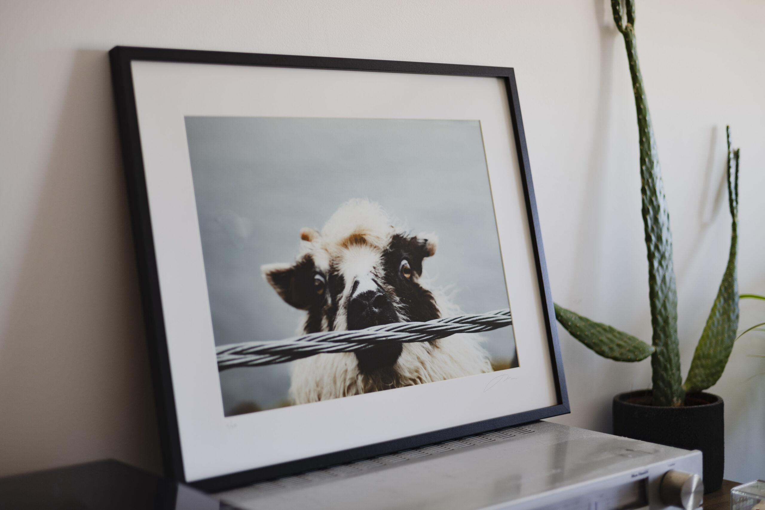 3portrait print_missroofless