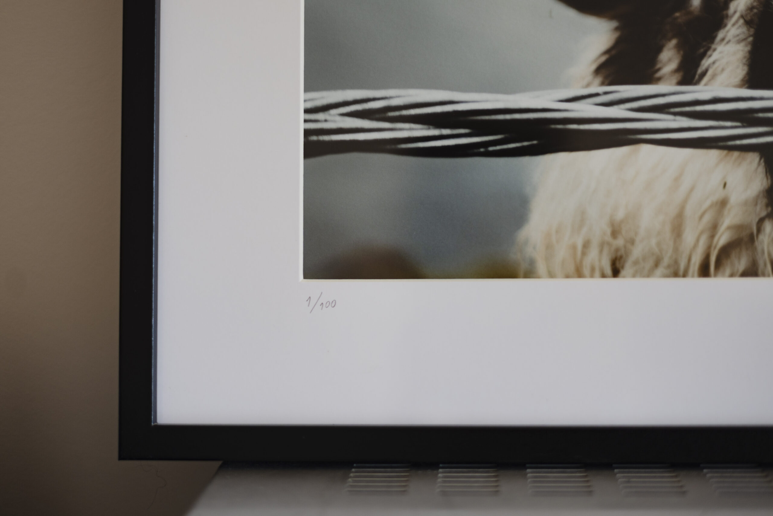 4portrait print_missroofless