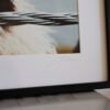 5portrait print_missroofless