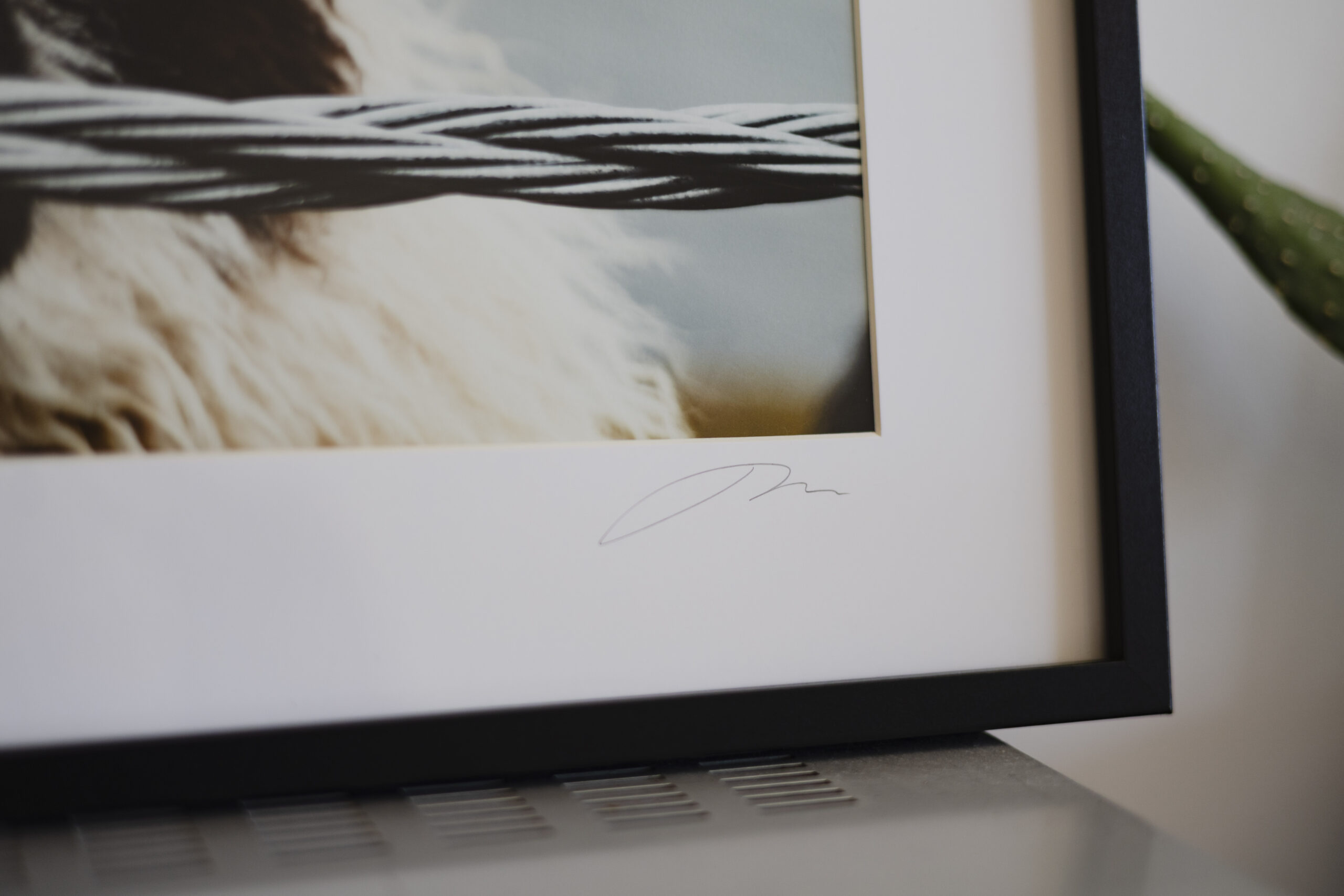 5portrait print_missroofless