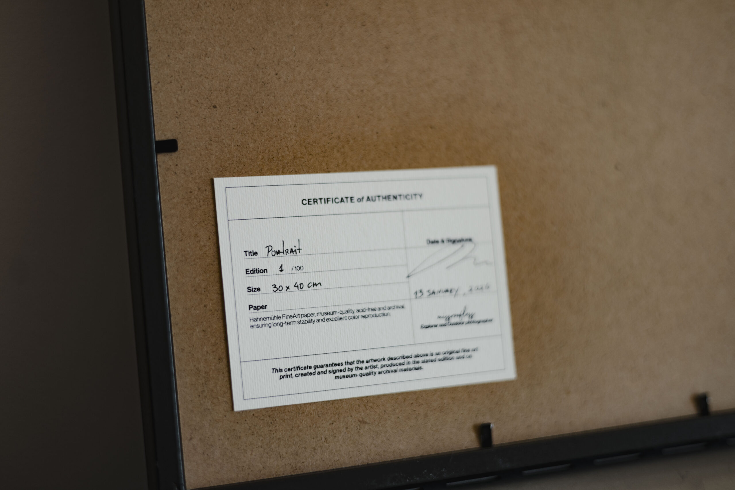 8portrait print_missroofless