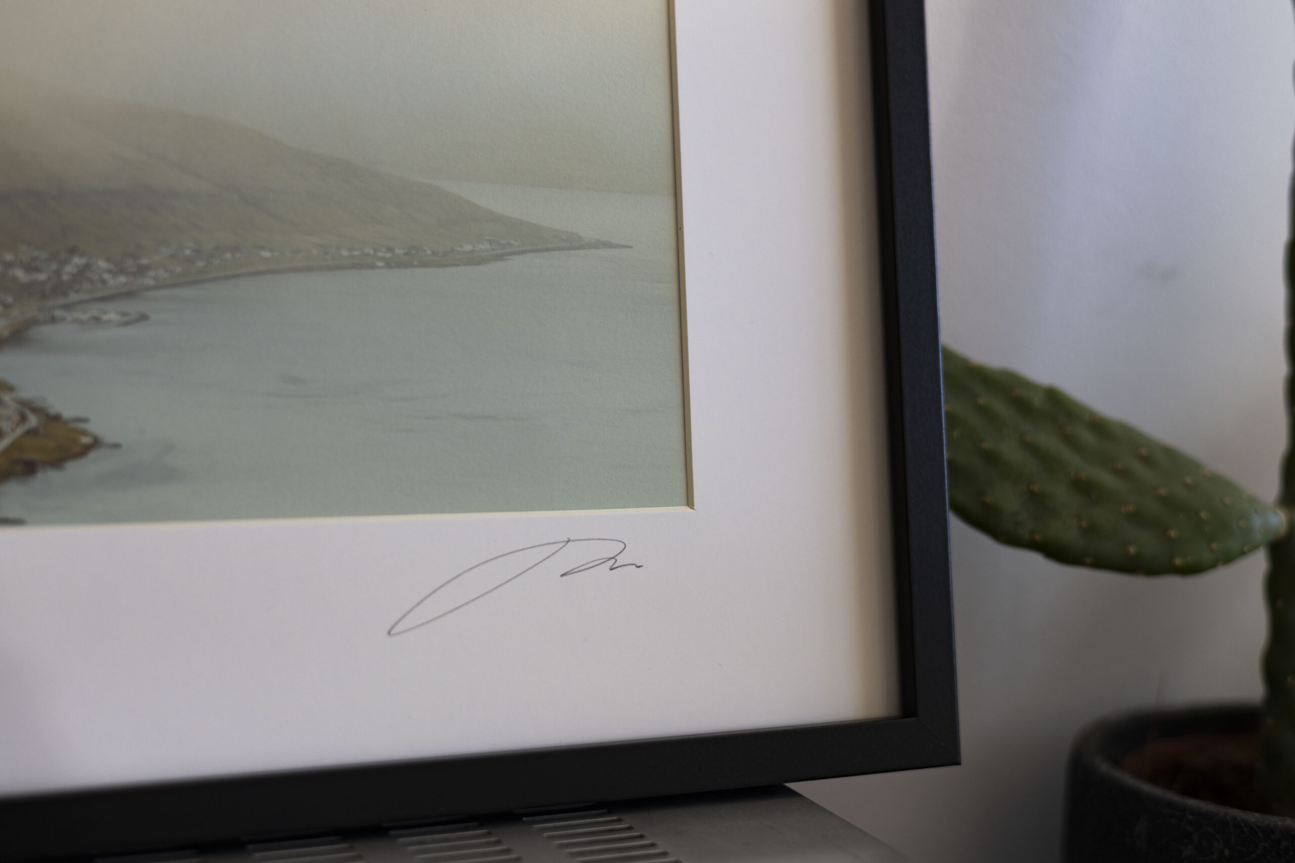 2high_roadprint_missroofless