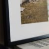 Neighbours_print_missroofless