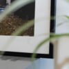 2Neighbours_print_missroofless