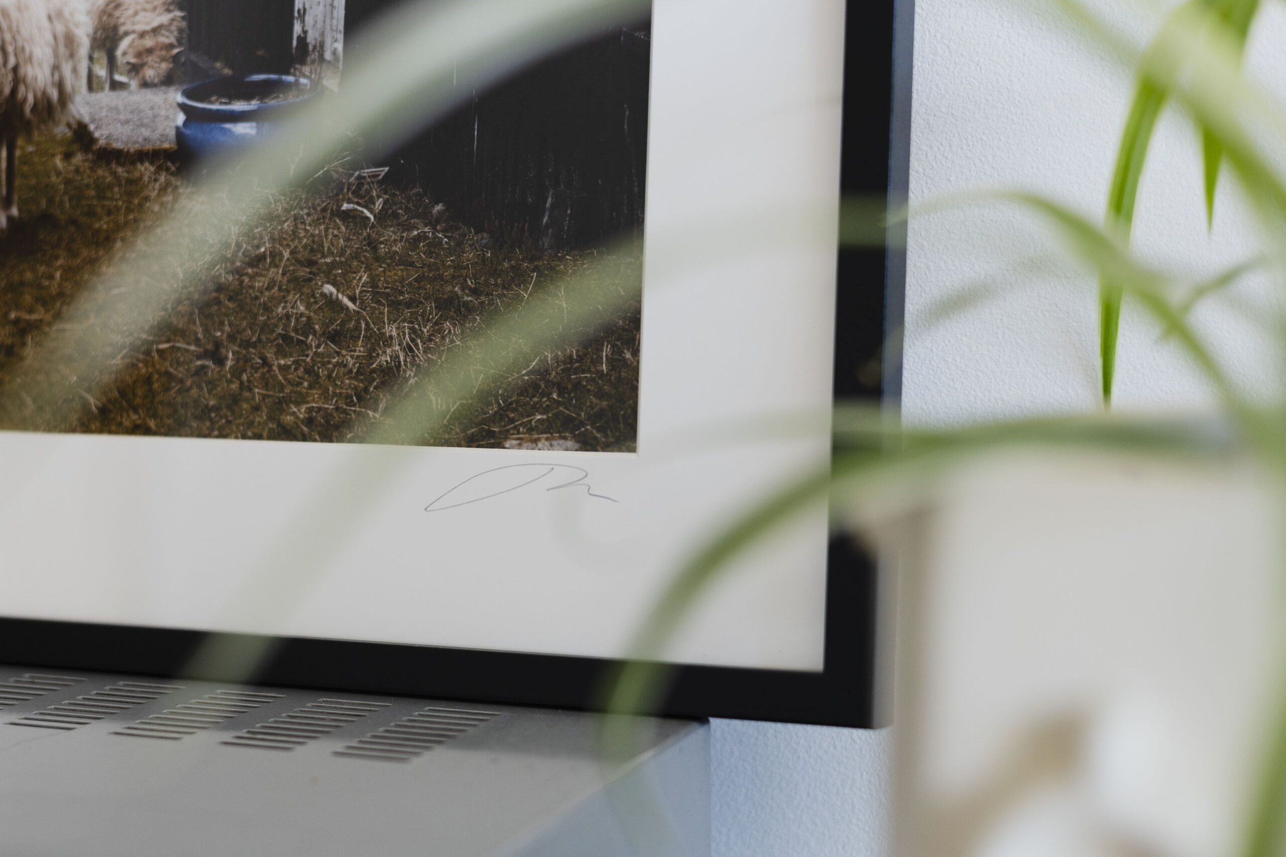 2Neighbours_print_missroofless