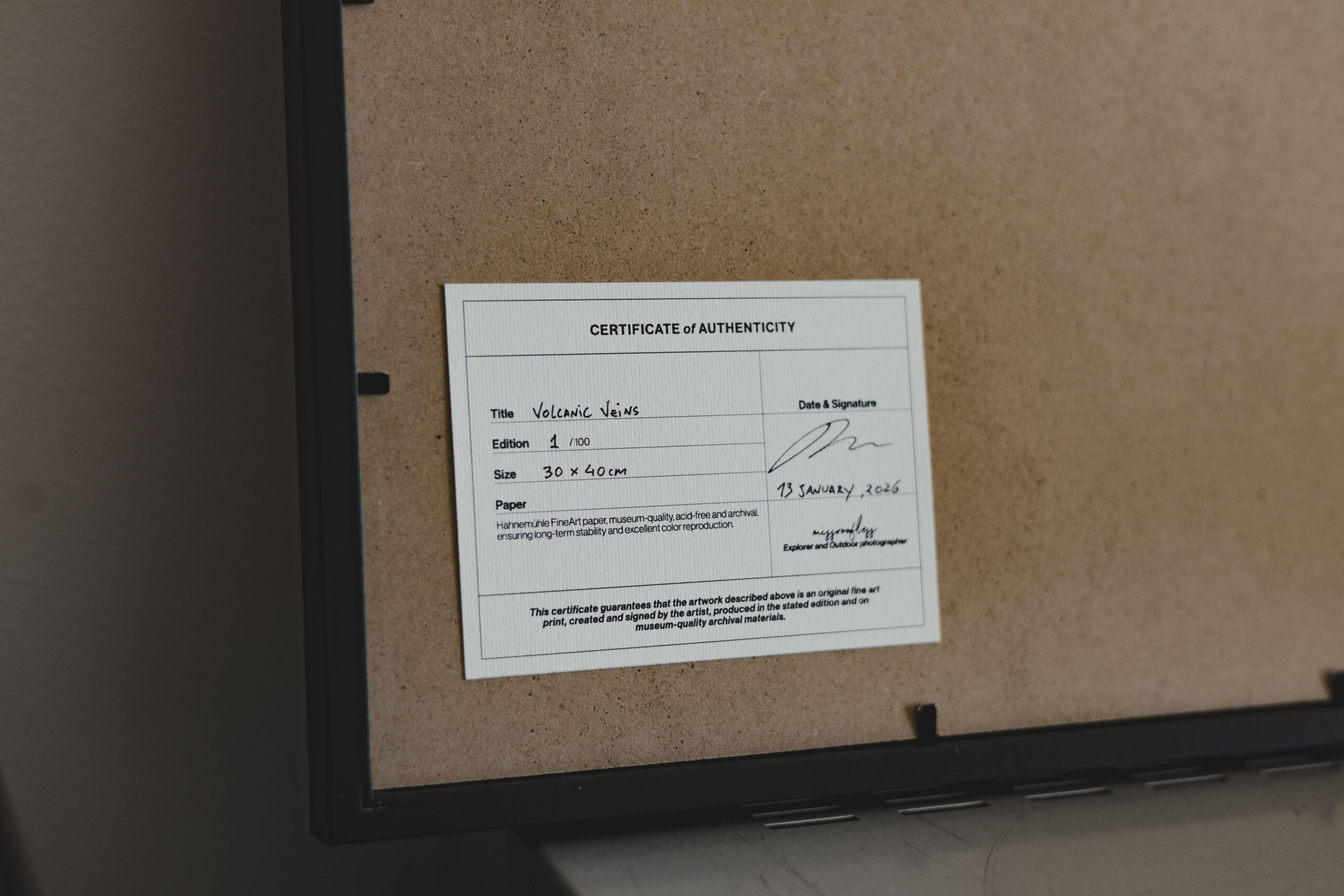 6volcanic_veins_print_missroofless