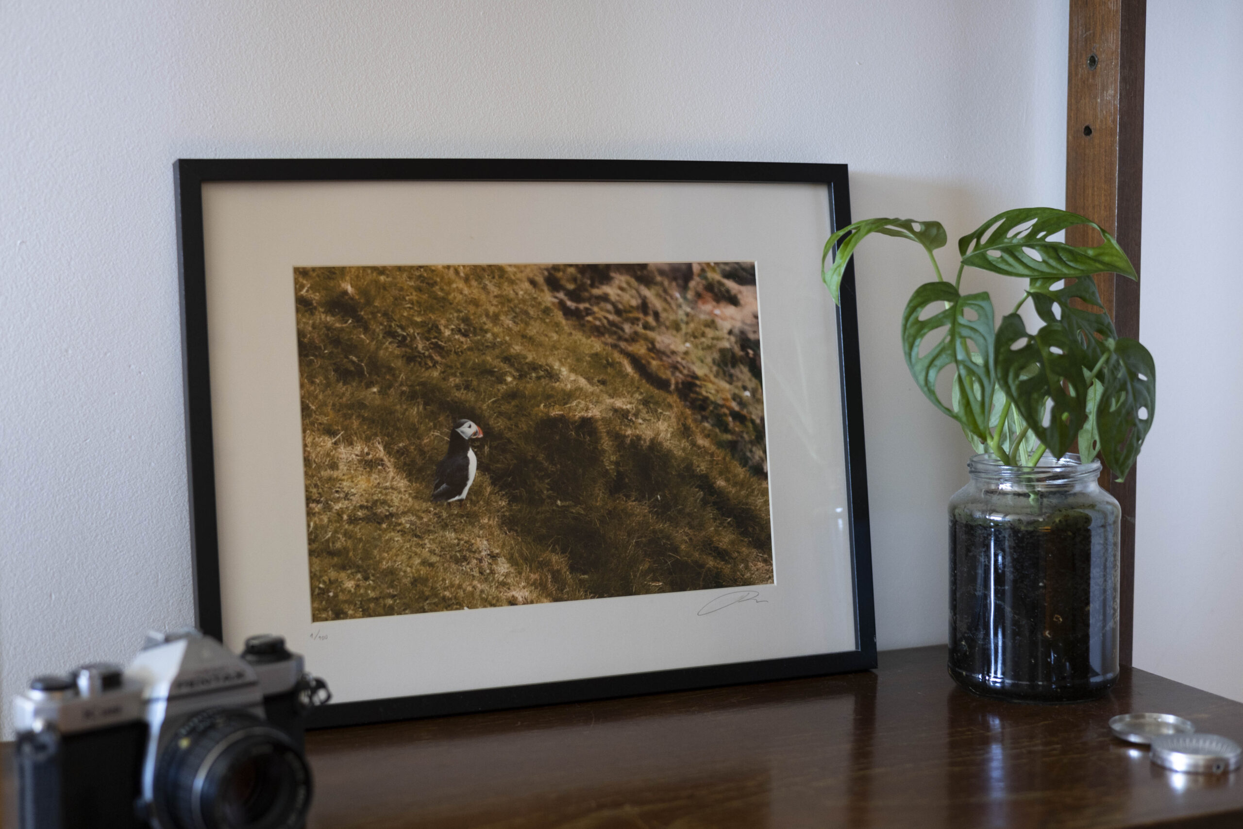 1puffin_print_missroofless