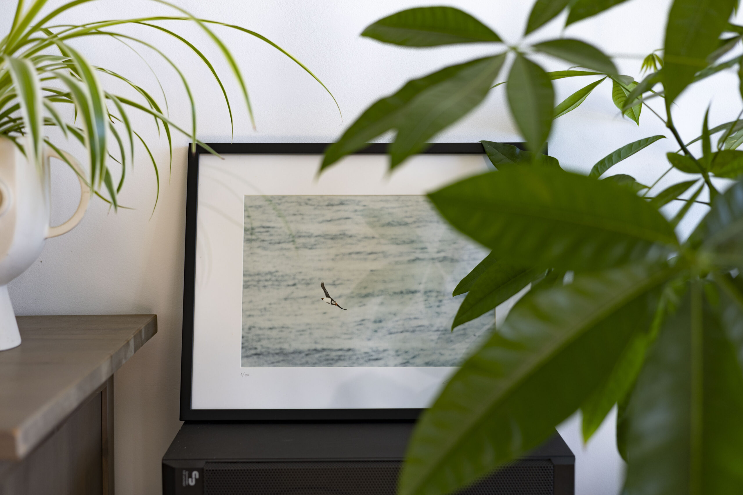 1base_jumper_print_missroofless