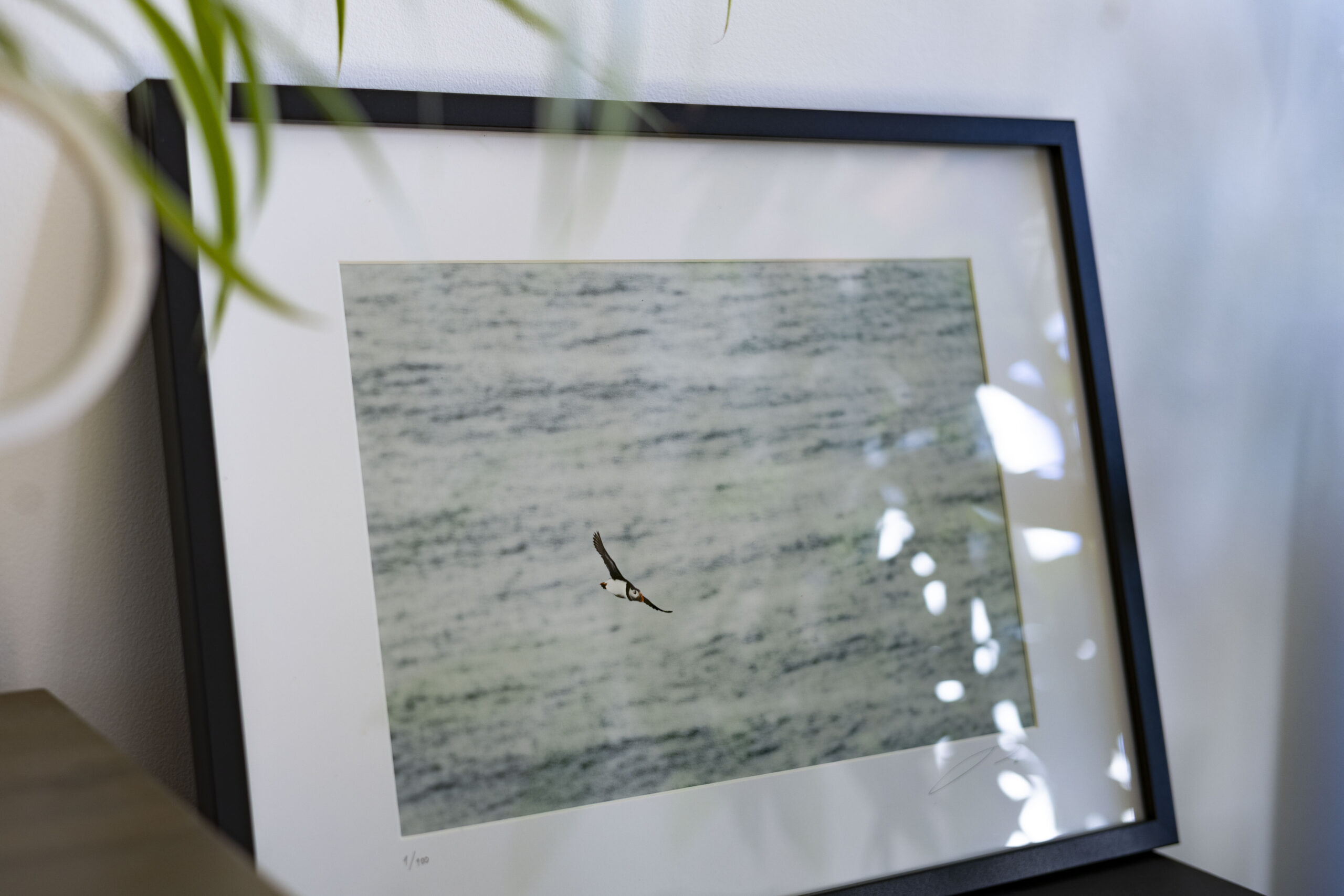 2base_jumper_print_missroofless