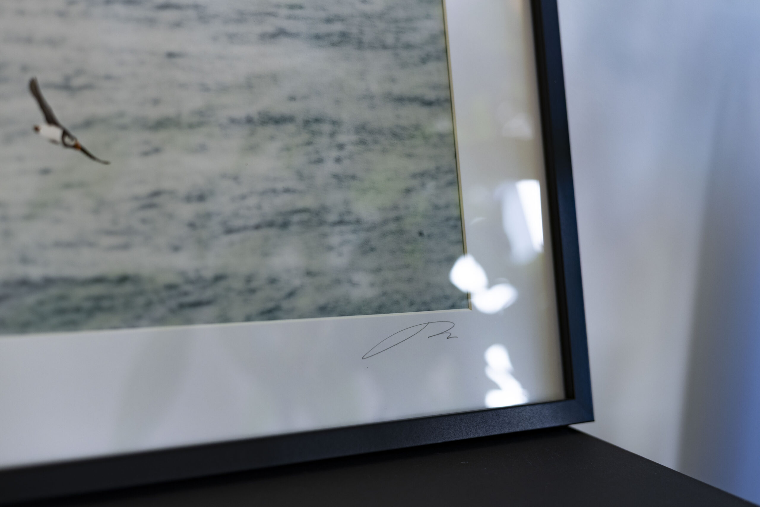 4base_jumper_print_missroofless