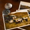 4postcard_faroe_missroofless