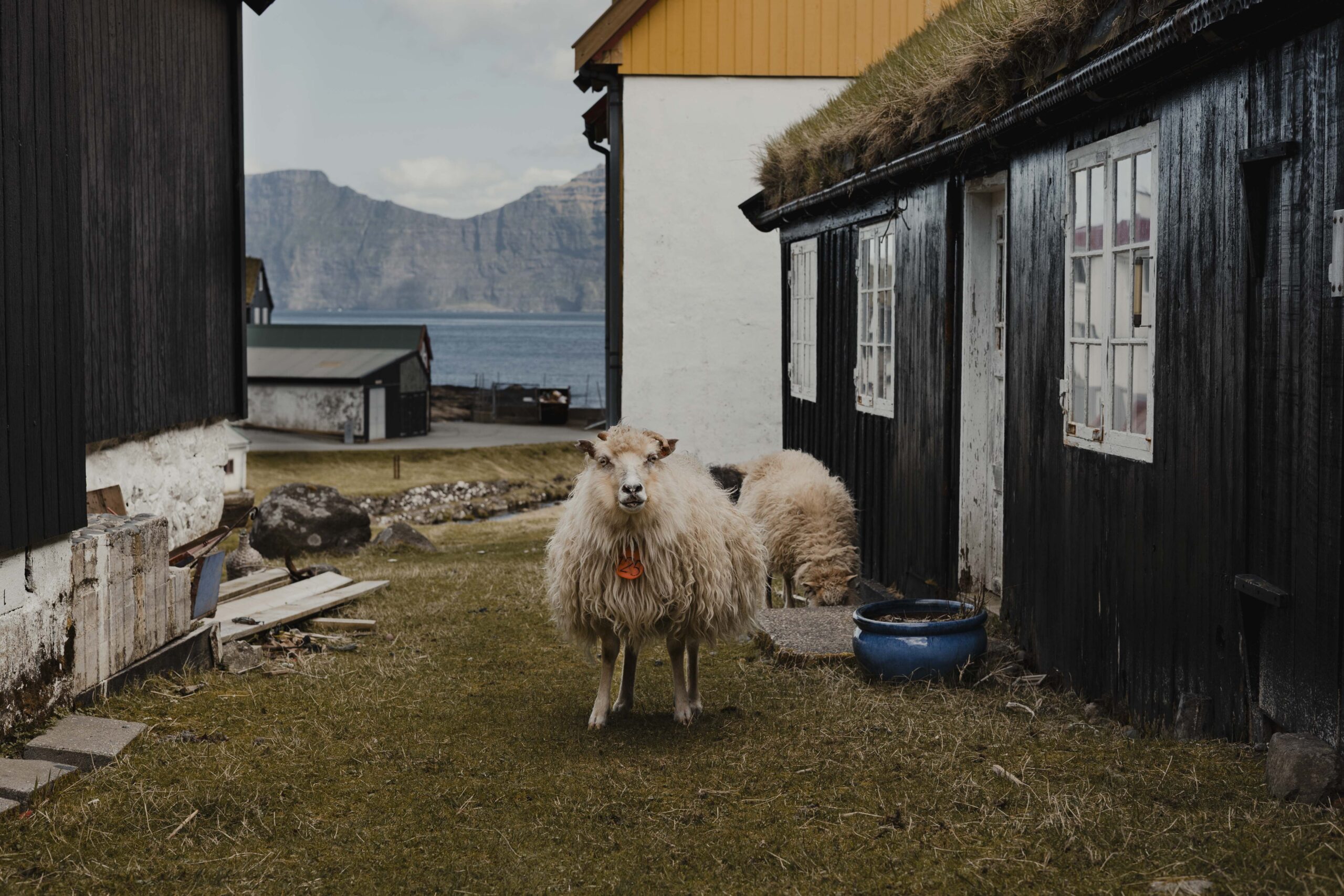 11postcard_faroe_missroofless