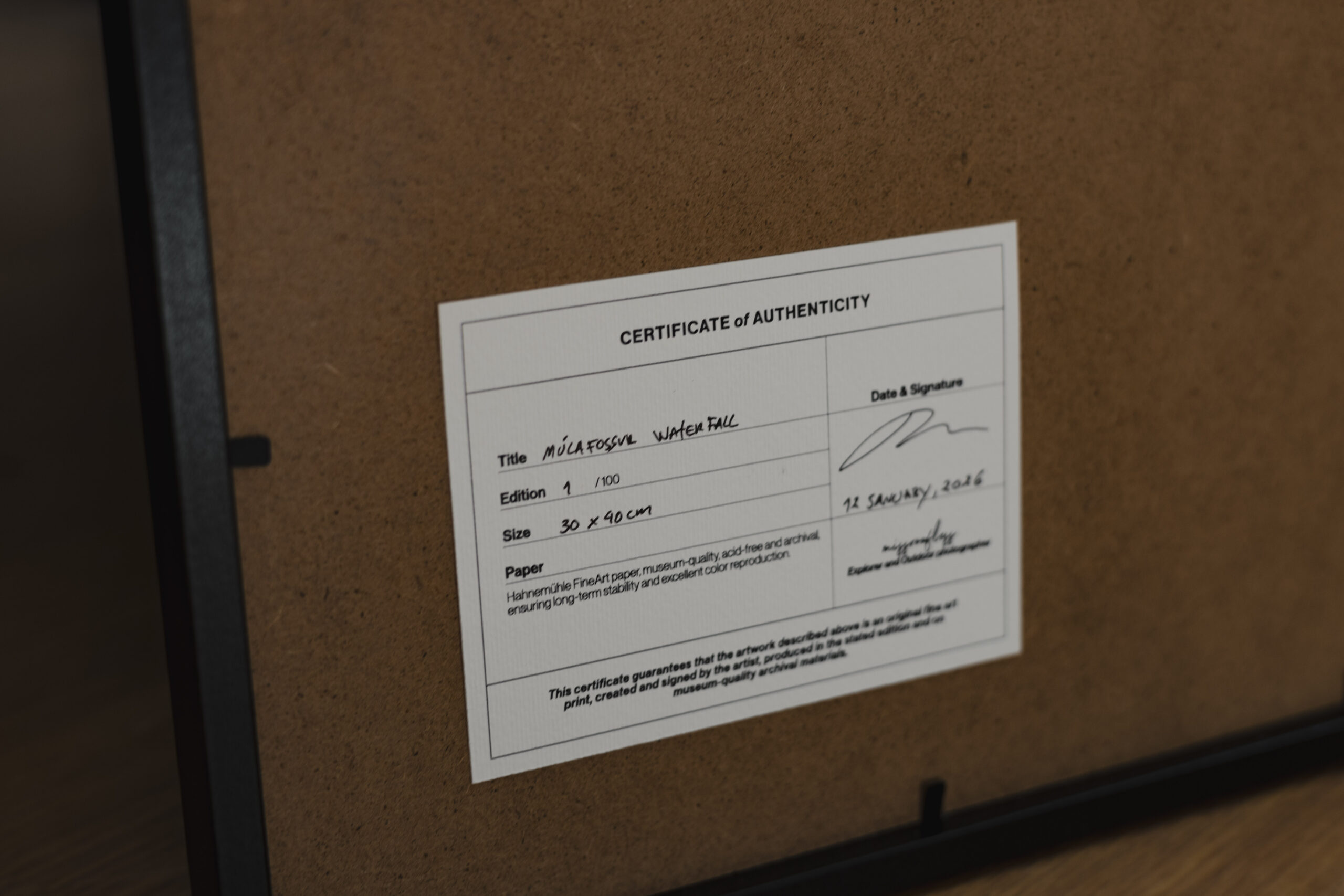 6waterfall_print_missroofless